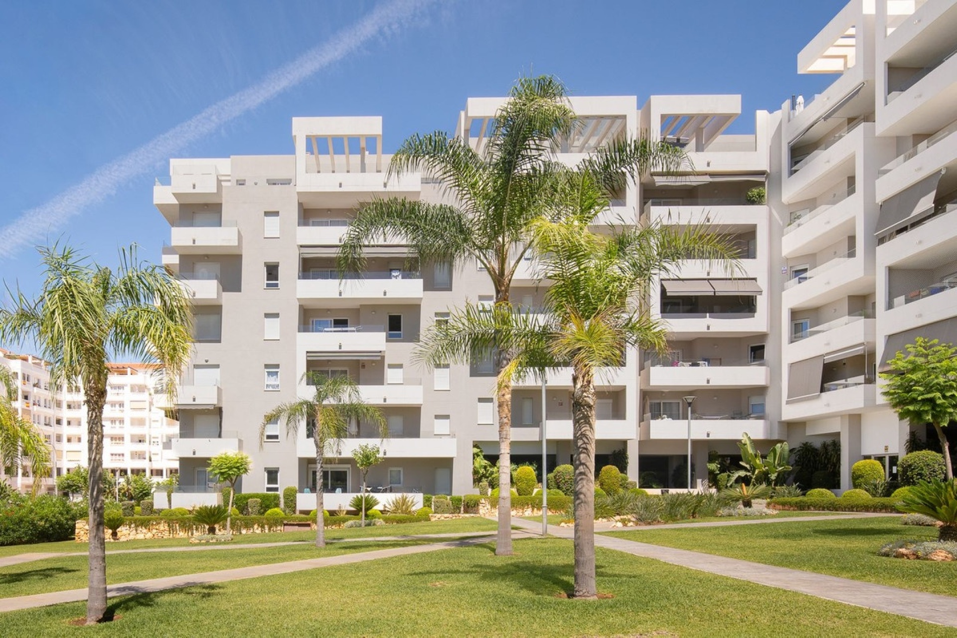 Rynek wtórny - apartment - Marbella - Nueva Andalucía