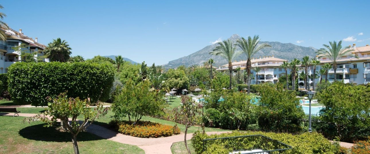 Rynek wtórny - apartment - Marbella - Nueva Andalucía