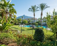 Rynek wtórny - apartment - Marbella - Nueva Andalucía