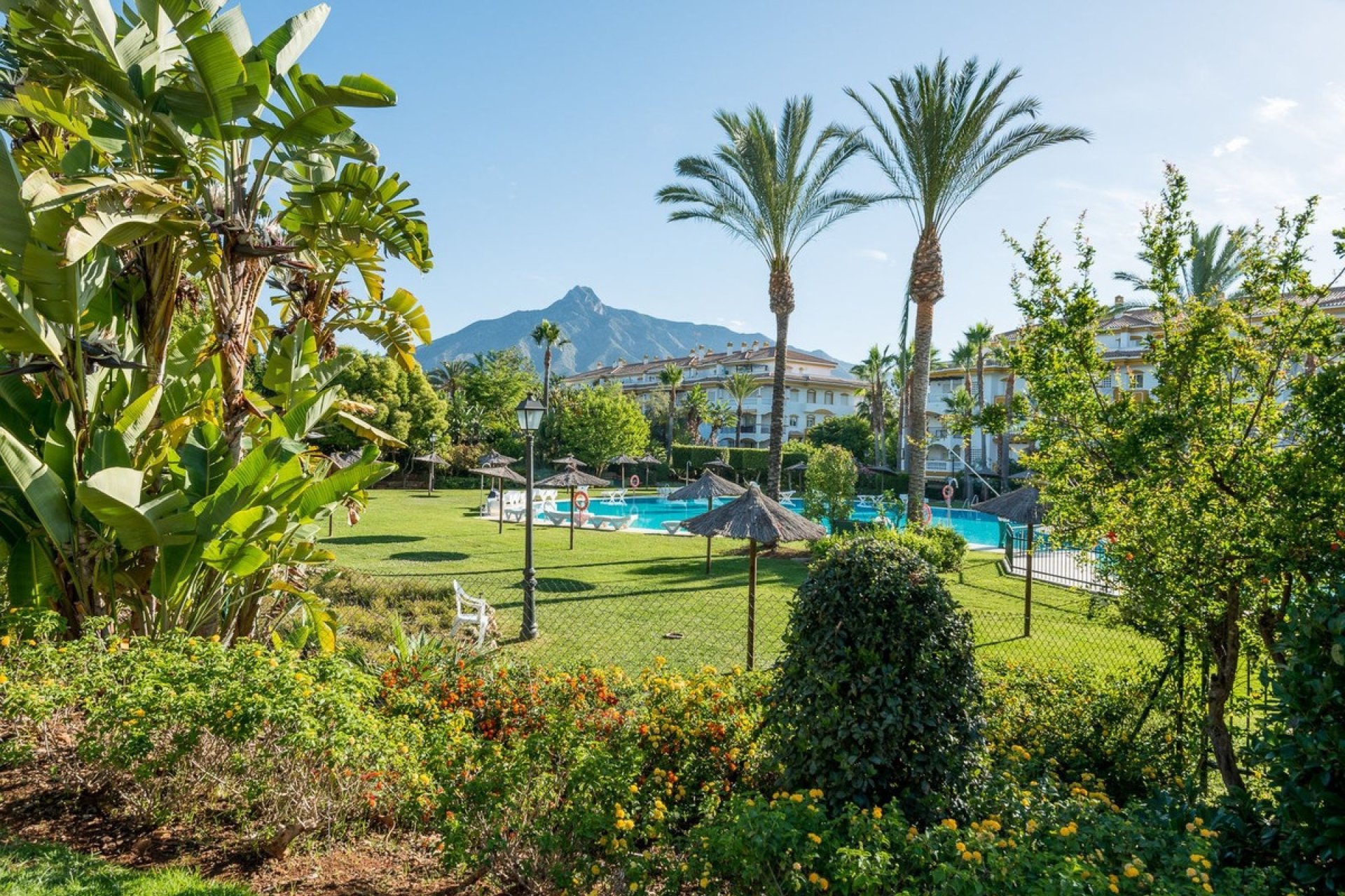 Rynek wtórny - apartment - Marbella - Nueva Andalucía