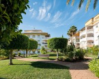 Rynek wtórny - apartment - Marbella - Nueva Andalucía