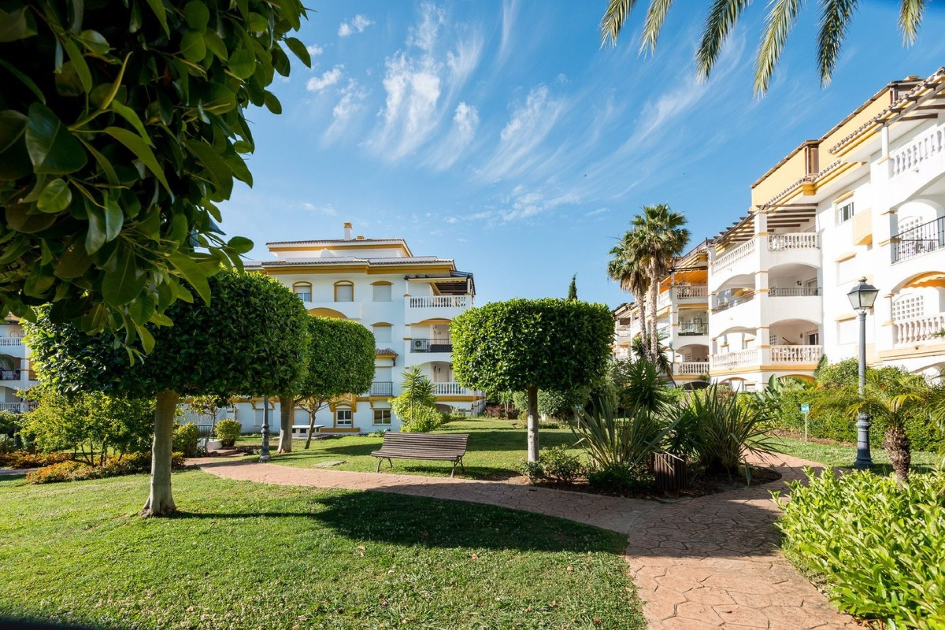 Rynek wtórny - apartment - Marbella - Nueva Andalucía
