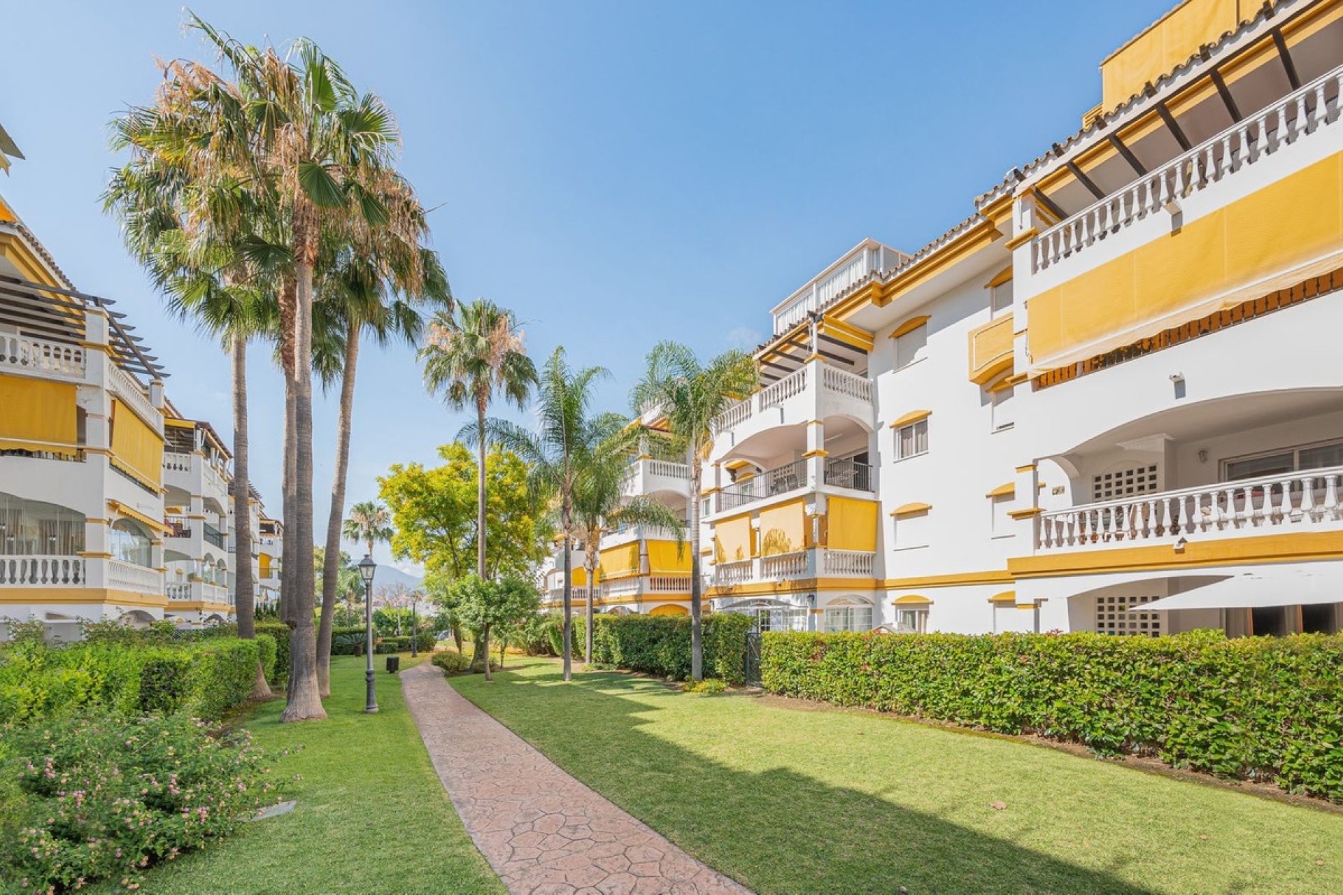 Rynek wtórny - apartment - Marbella - Nueva Andalucía