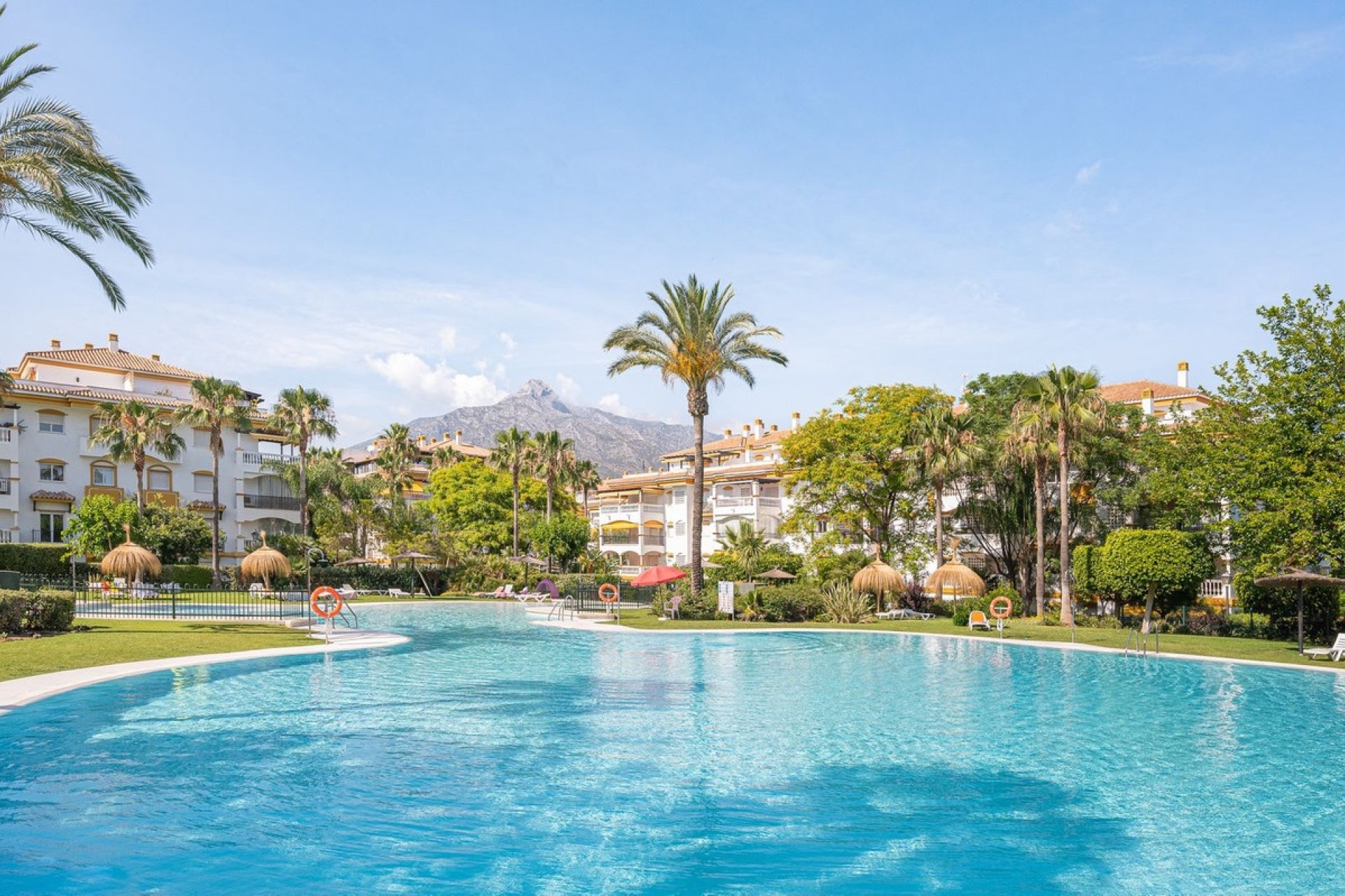 Rynek wtórny - apartment - Marbella - Nueva Andalucía