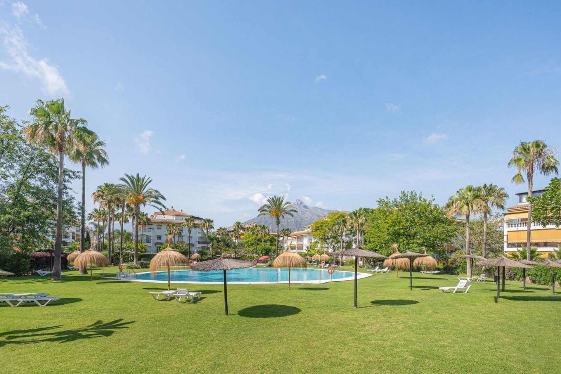 Rynek wtórny - apartment - Marbella - Nueva Andalucía