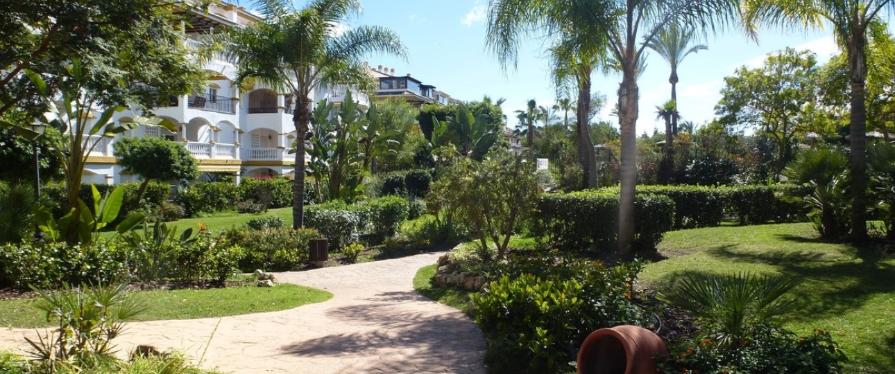 Rynek wtórny - apartment - Marbella - Nueva Andalucía