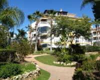 Rynek wtórny - apartment - Marbella - Nueva Andalucía