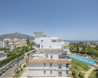 Rynek wtórny - apartment - Marbella - Nueva Andalucía