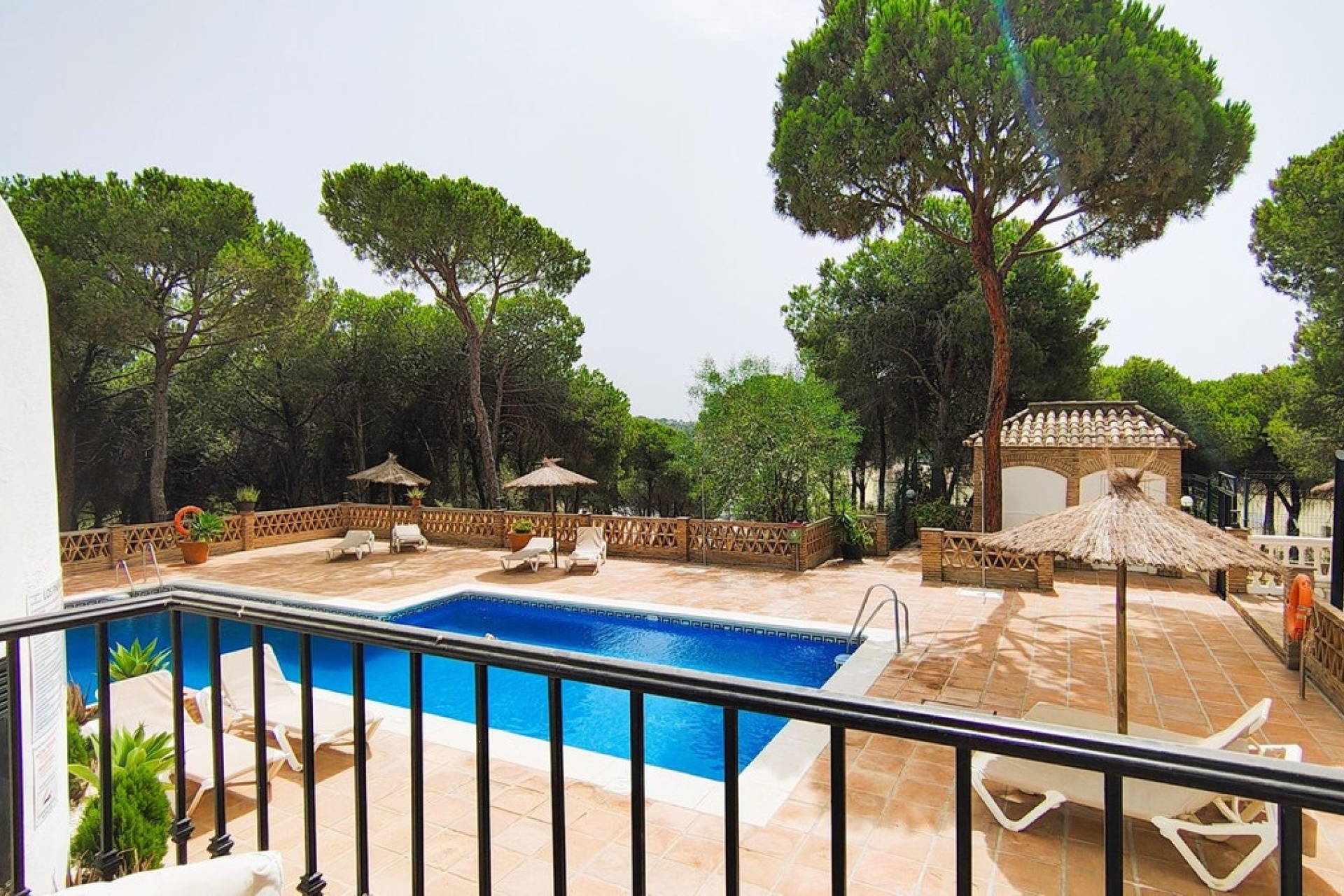 Rynek wtórny - apartment - Marbella - Nueva Andalucía