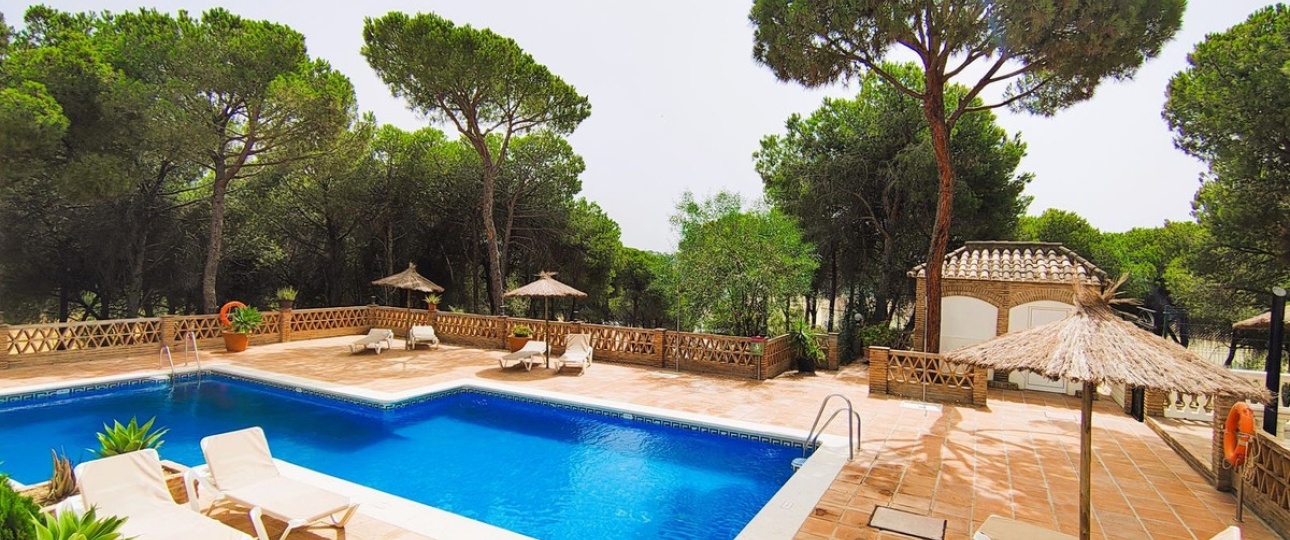 Rynek wtórny - apartment - Marbella - Nueva Andalucía