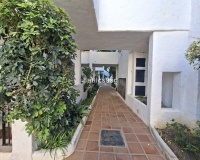 Rynek wtórny - apartment - Marbella - Nueva Andalucía