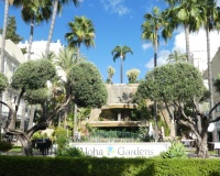 Rynek wtórny - apartment - Marbella - Nueva Andalucía