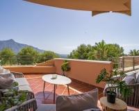 Rynek wtórny - apartment - Marbella - Nueva Andalucía