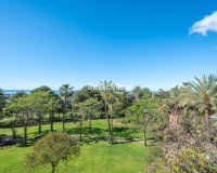 Rynek wtórny - apartment - Marbella - Nueva Andalucía