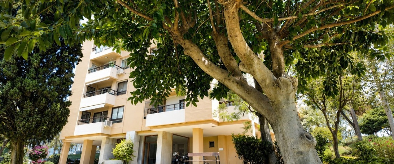 Rynek wtórny - apartment - Marbella - Nueva Andalucía