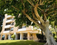 Rynek wtórny - apartment - Marbella - Nueva Andalucía