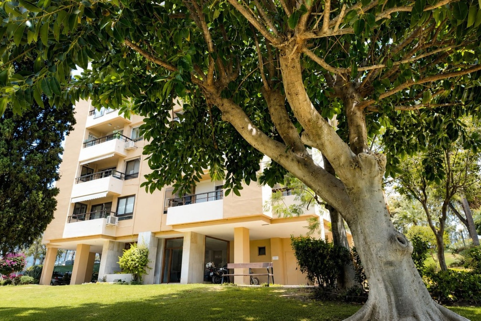 Rynek wtórny - apartment - Marbella - Nueva Andalucía