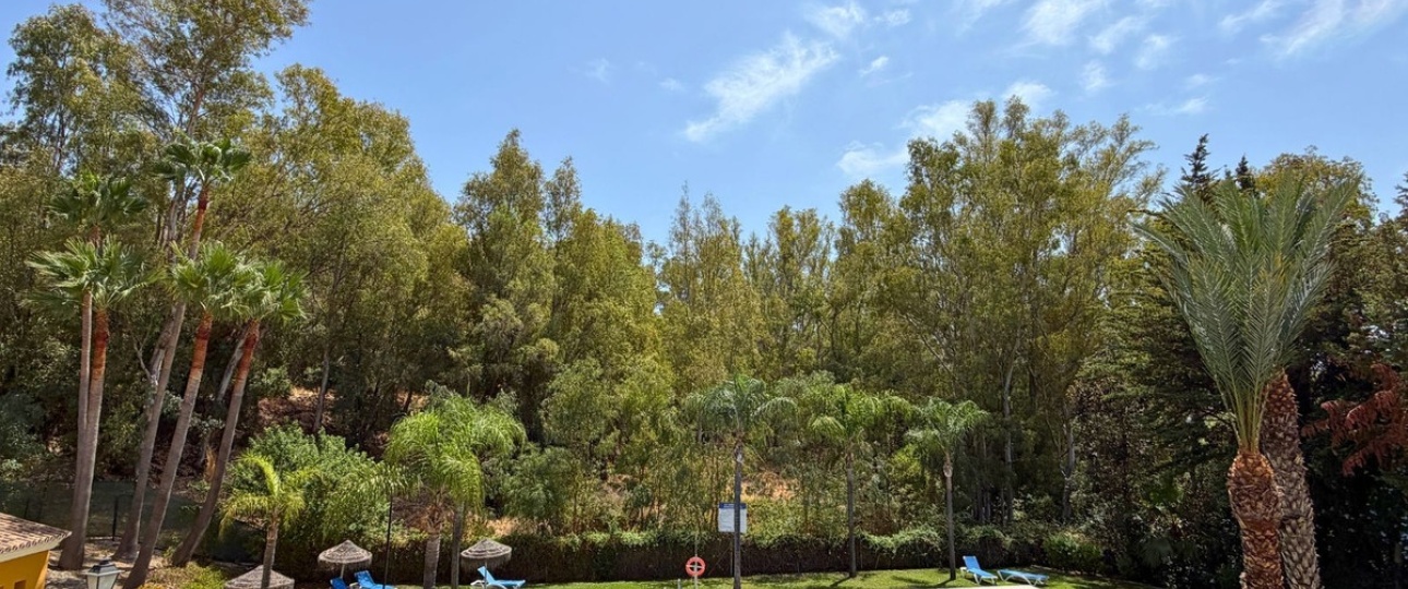 Rynek wtórny - apartment - Marbella - Nueva Andalucía