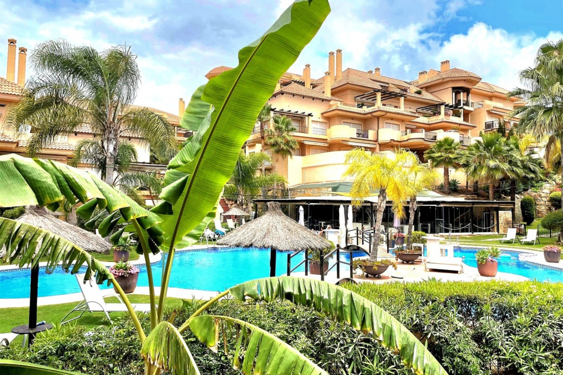 Rynek wtórny - apartment - Marbella - Nueva Andalucía