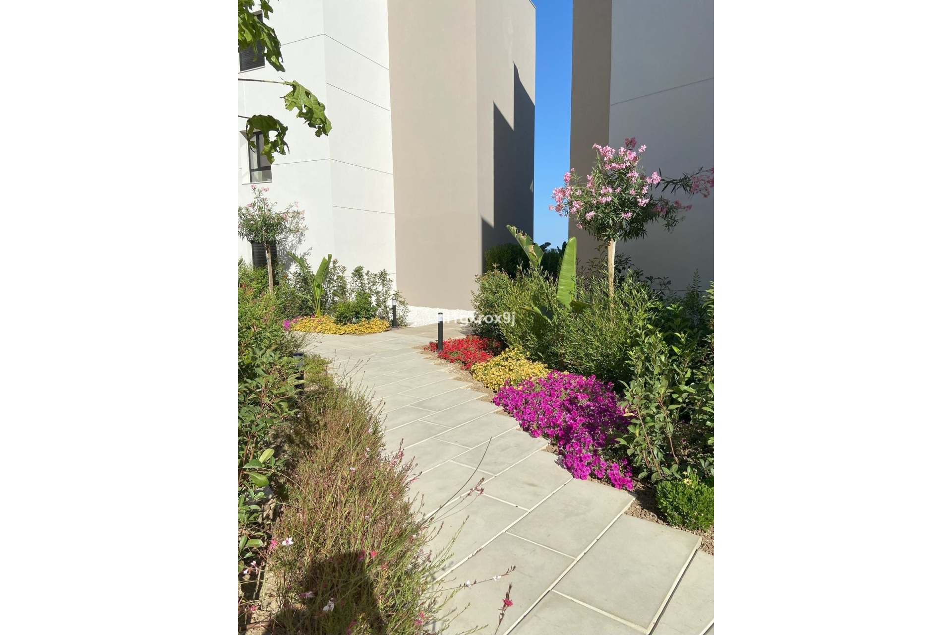Rynek wtórny - apartment - Marbella - Nueva Andalucía