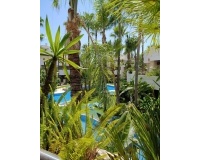 Rynek wtórny - apartment - Marbella - Nueva Andalucía