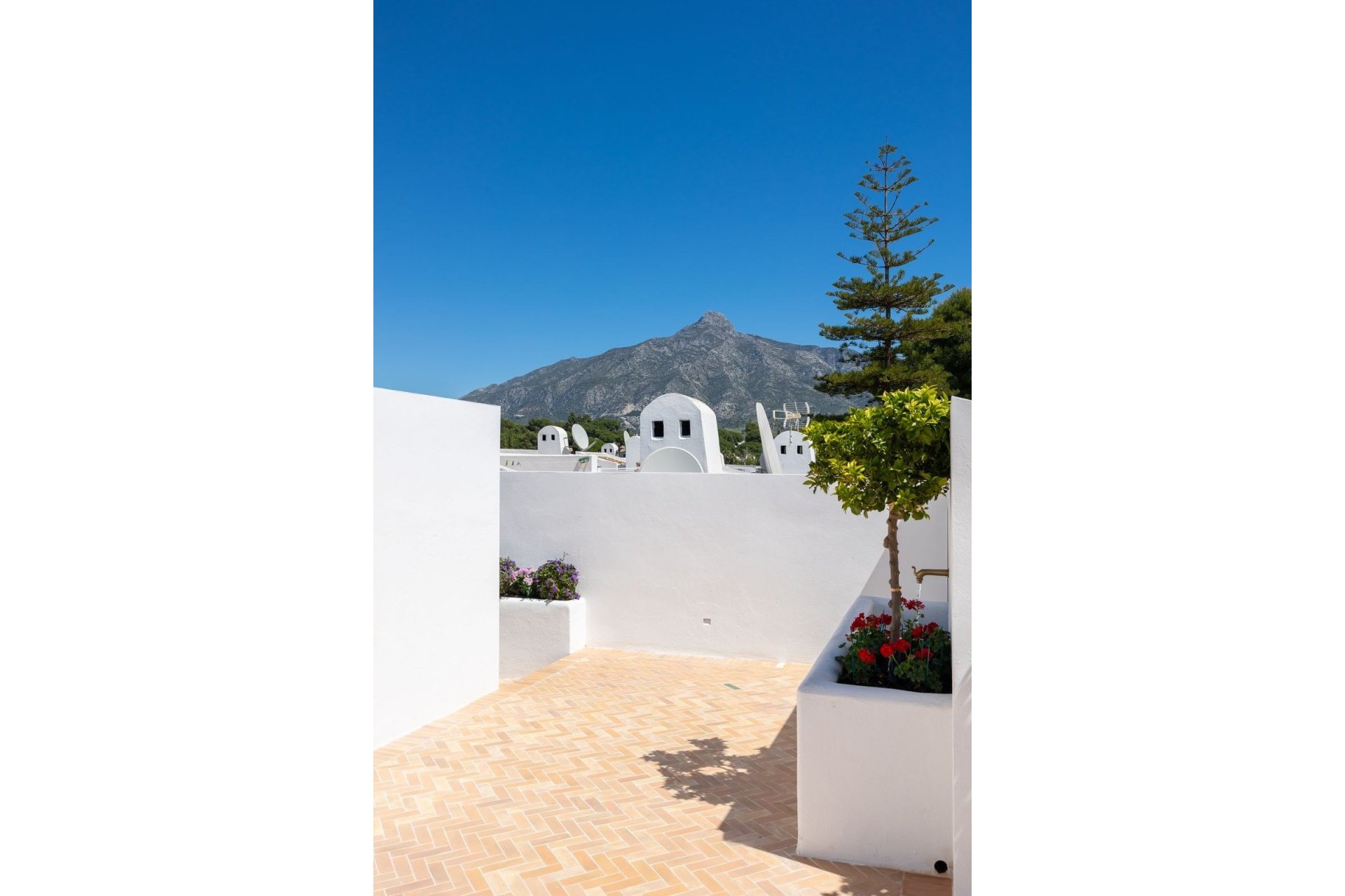 Rynek wtórny - apartment - Marbella - Nueva Andalucía