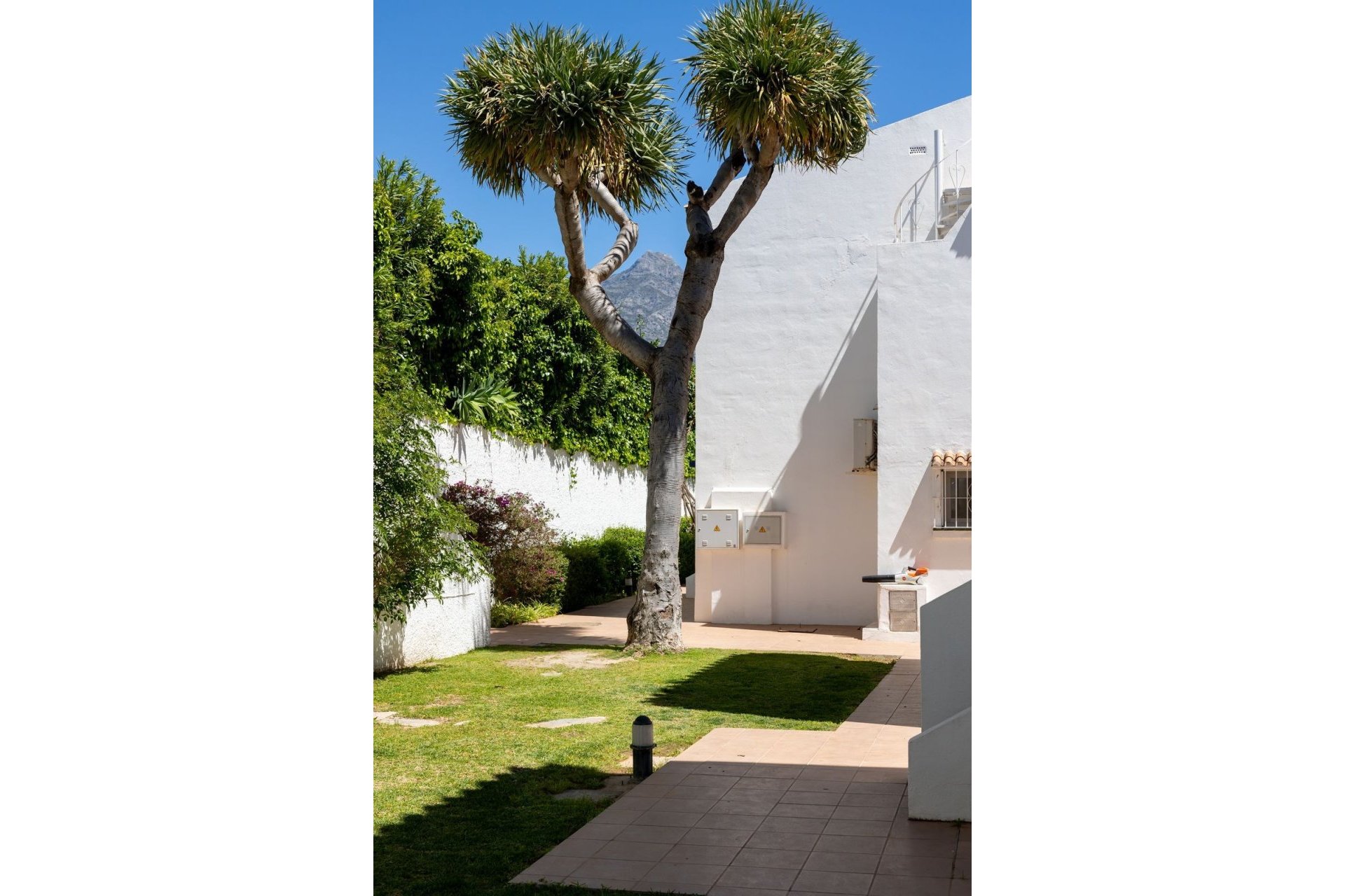 Rynek wtórny - apartment - Marbella - Nueva Andalucía