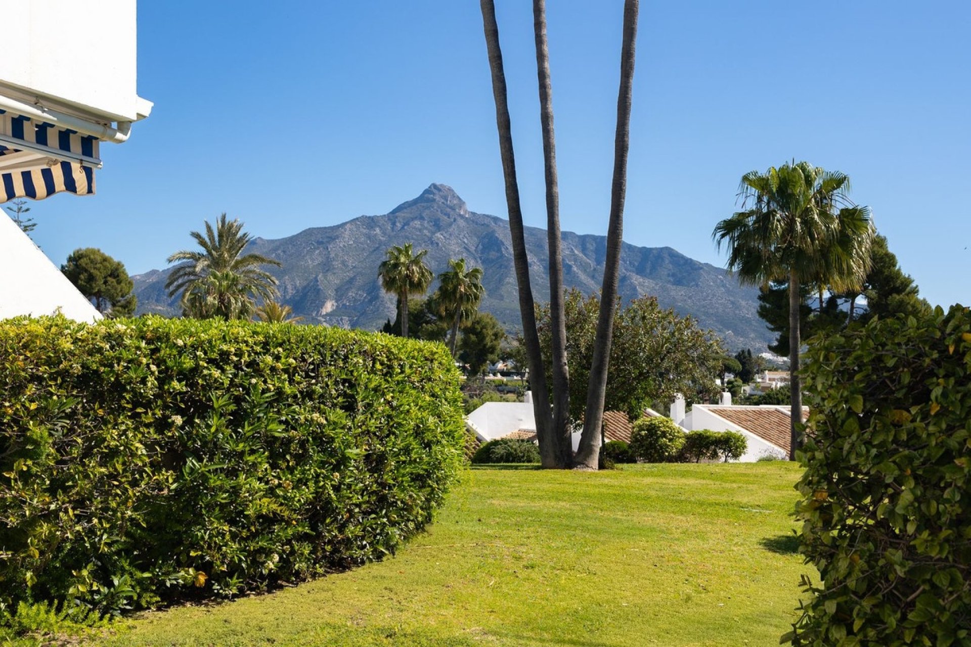 Rynek wtórny - apartment - Marbella - Nueva Andalucía