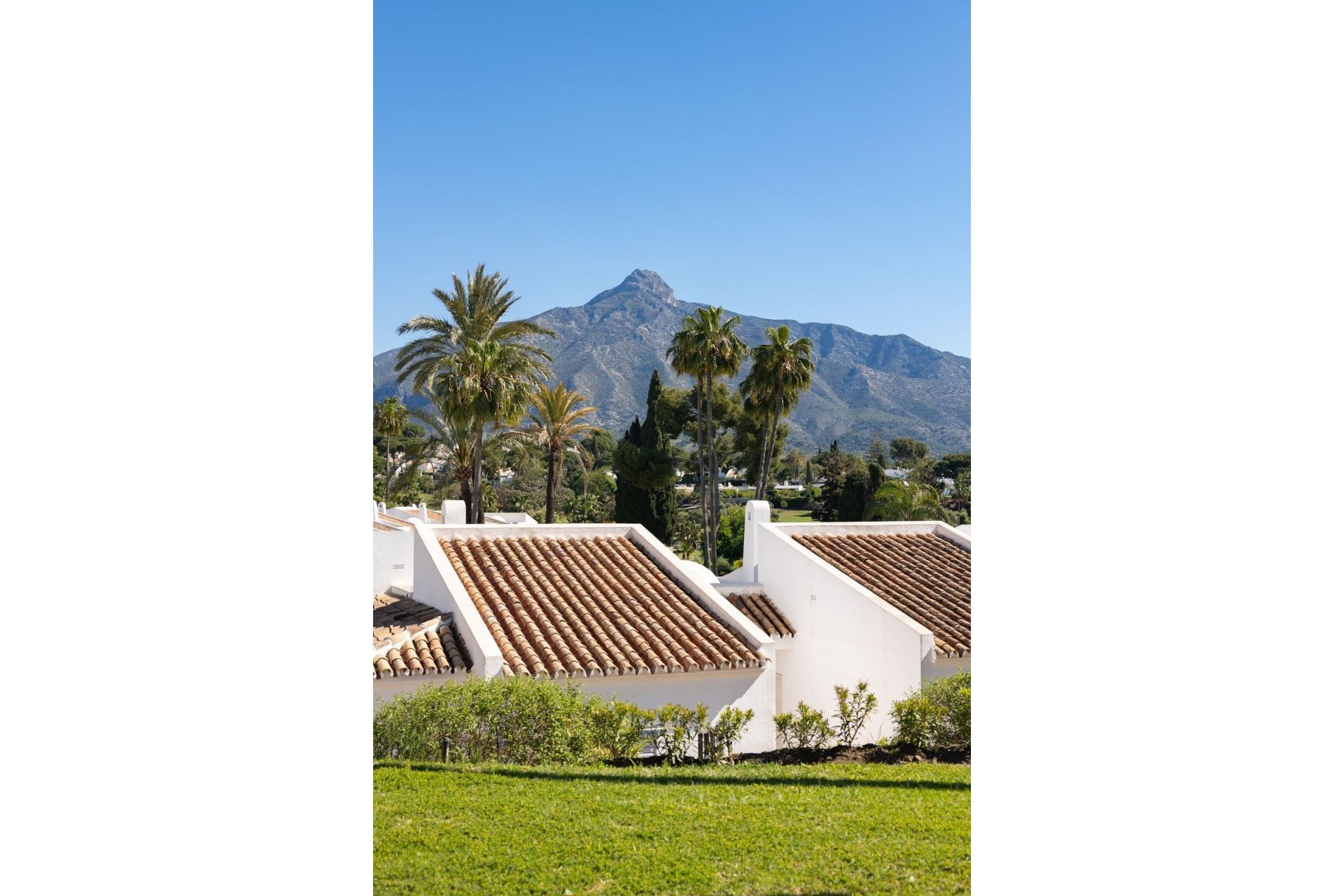 Rynek wtórny - apartment - Marbella - Nueva Andalucía