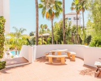 Rynek wtórny - apartment - Marbella - Nueva Andalucía
