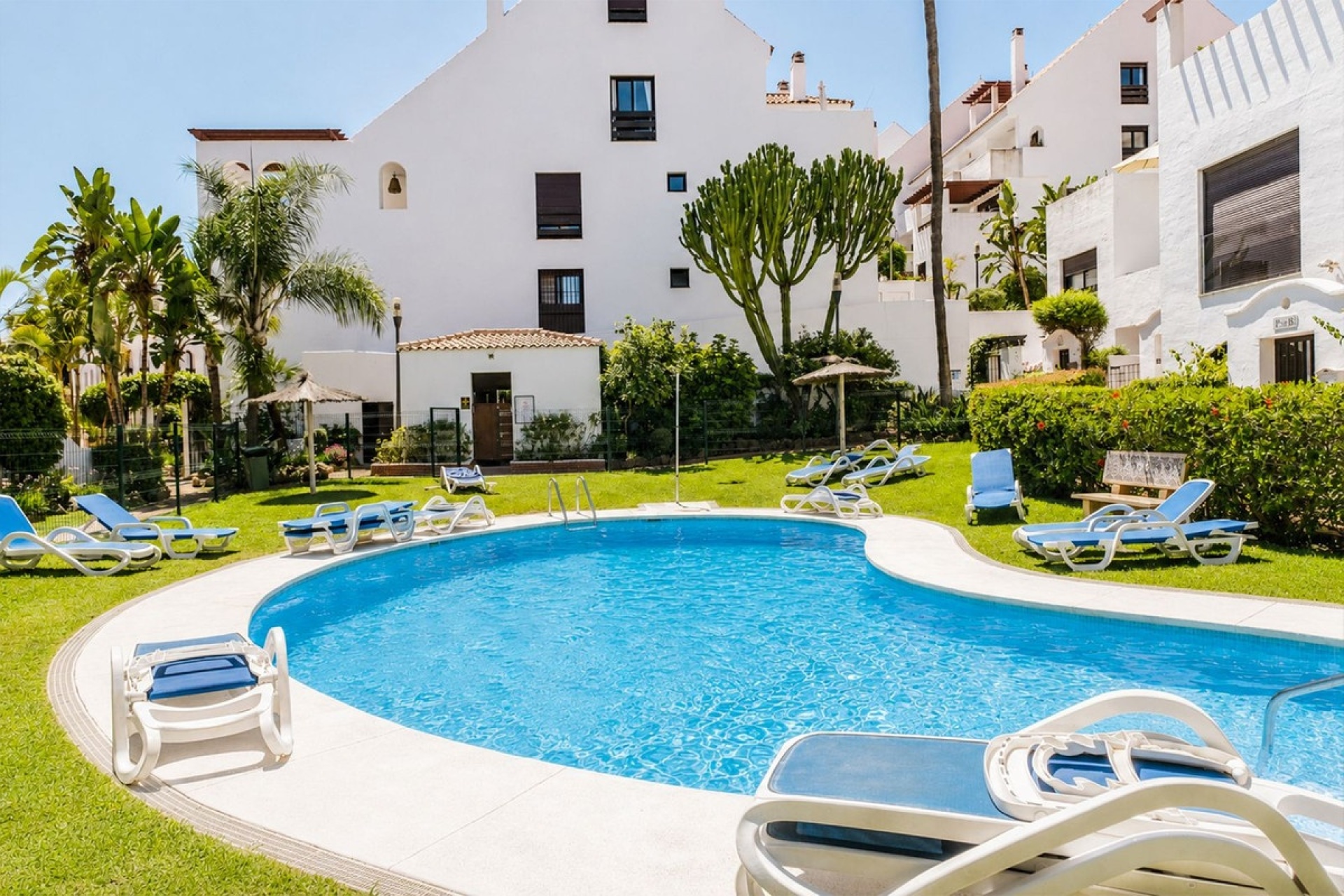 Rynek wtórny - apartment - Marbella - Nueva Andalucía