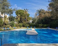 Rynek wtórny - apartment - Marbella - Nueva Andalucía