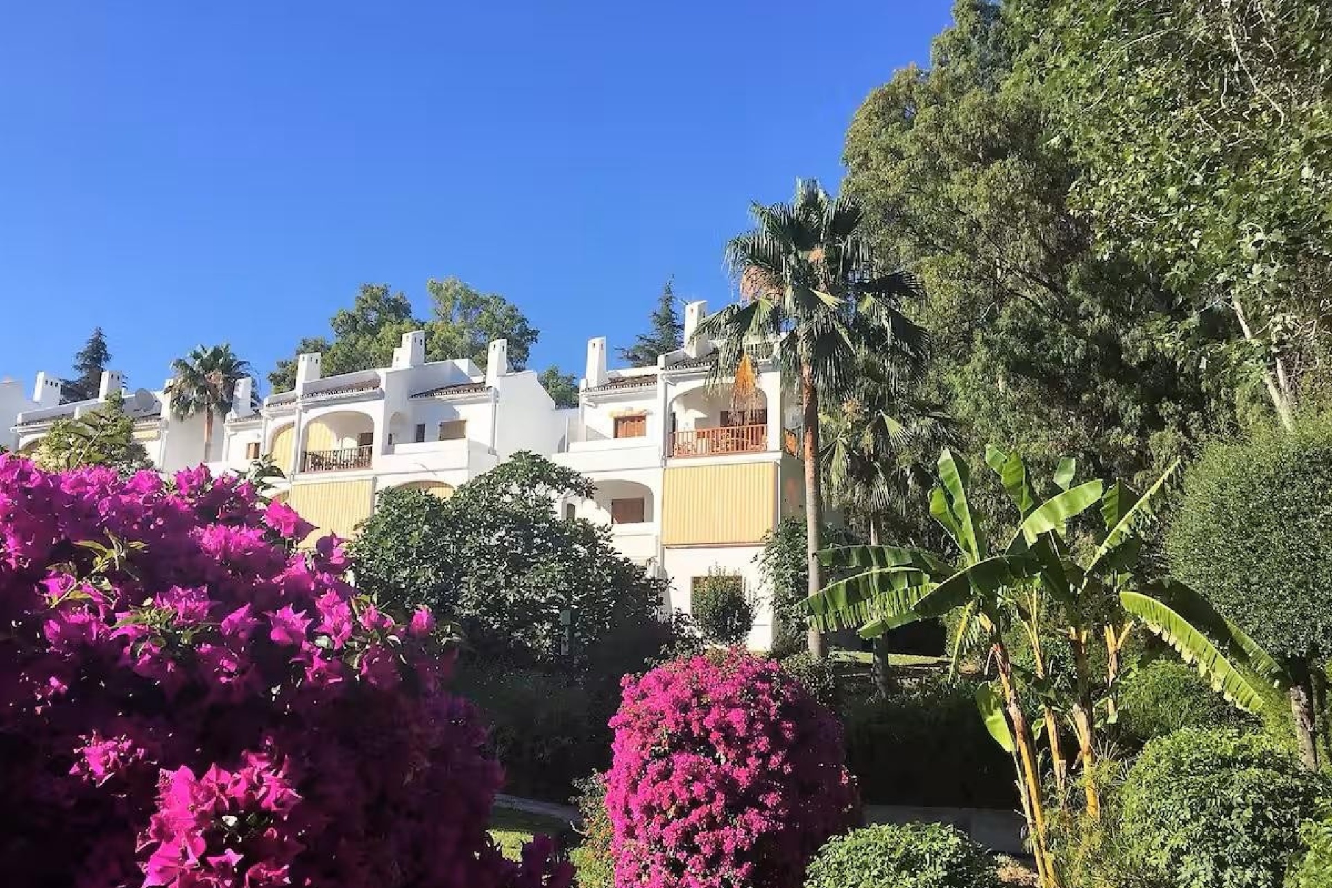 Rynek wtórny - apartment - Marbella - Nueva Andalucía
