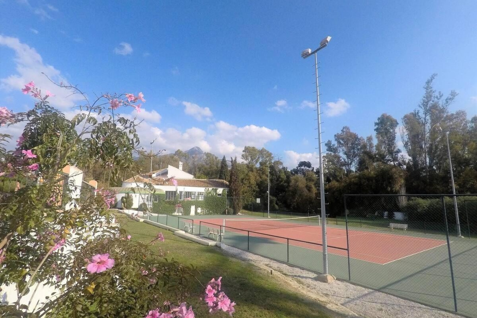 Rynek wtórny - apartment - Marbella - Nueva Andalucía