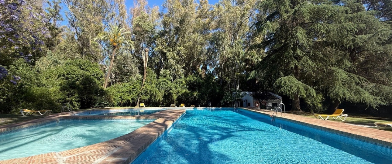 Rynek wtórny - apartment - Marbella - Nueva Andalucía