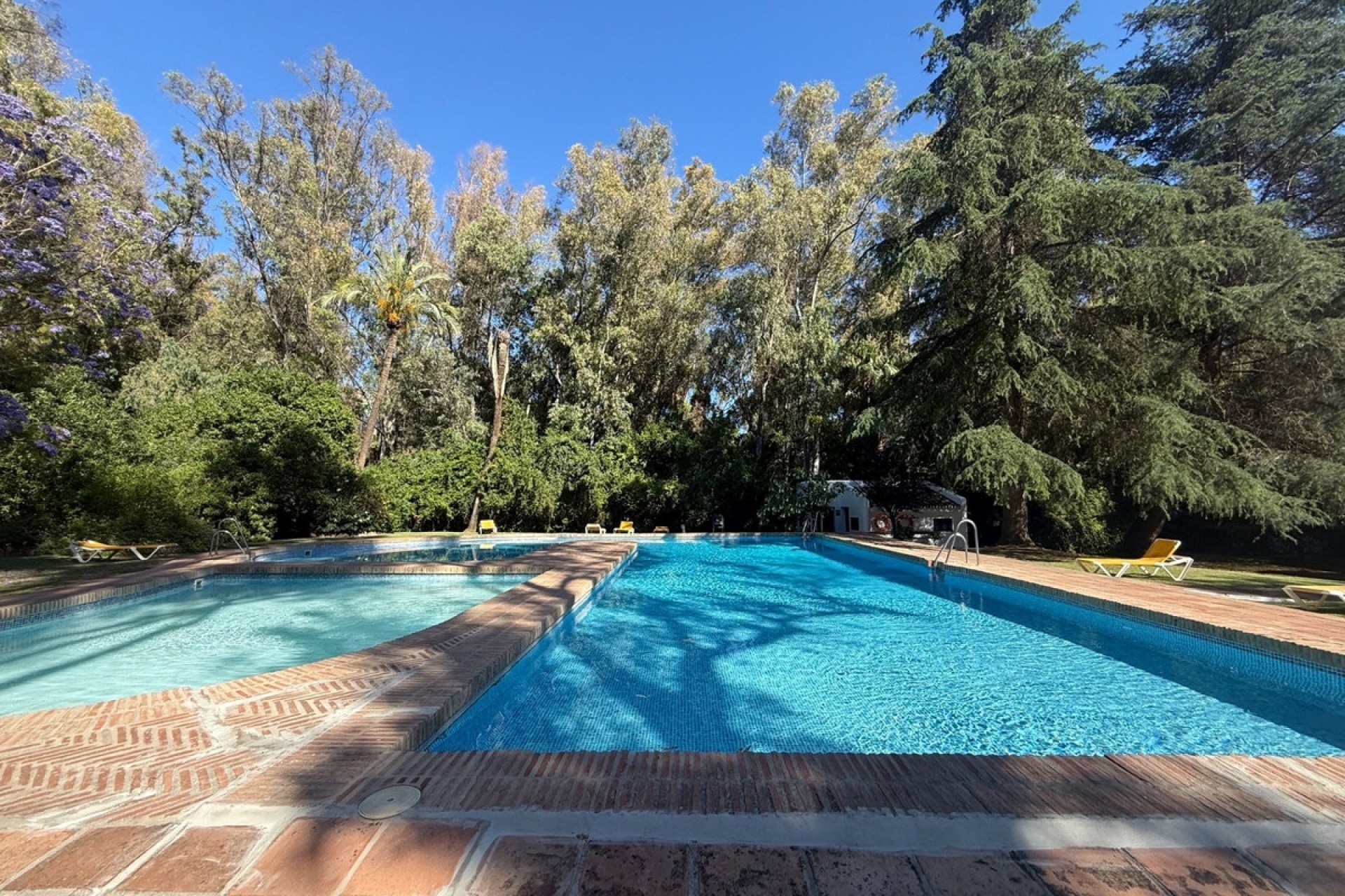 Rynek wtórny - apartment - Marbella - Nueva Andalucía