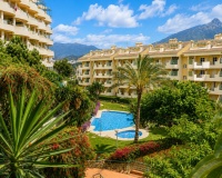 Rynek wtórny - apartment - Marbella - Nueva Andalucía