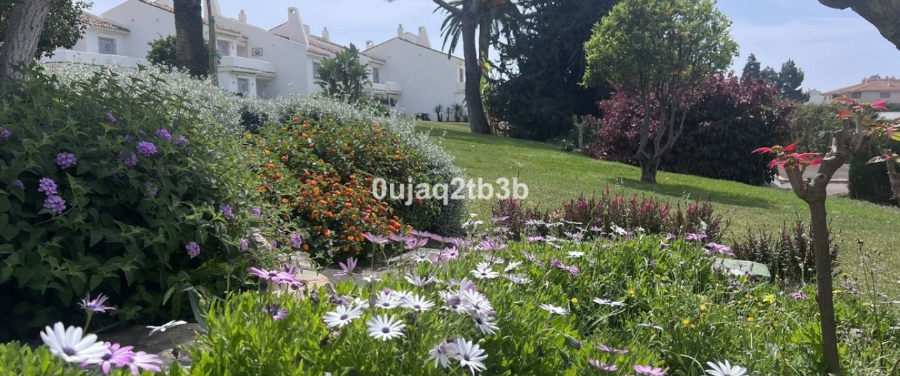 Rynek wtórny - apartment - Marbella - Nueva Andalucía