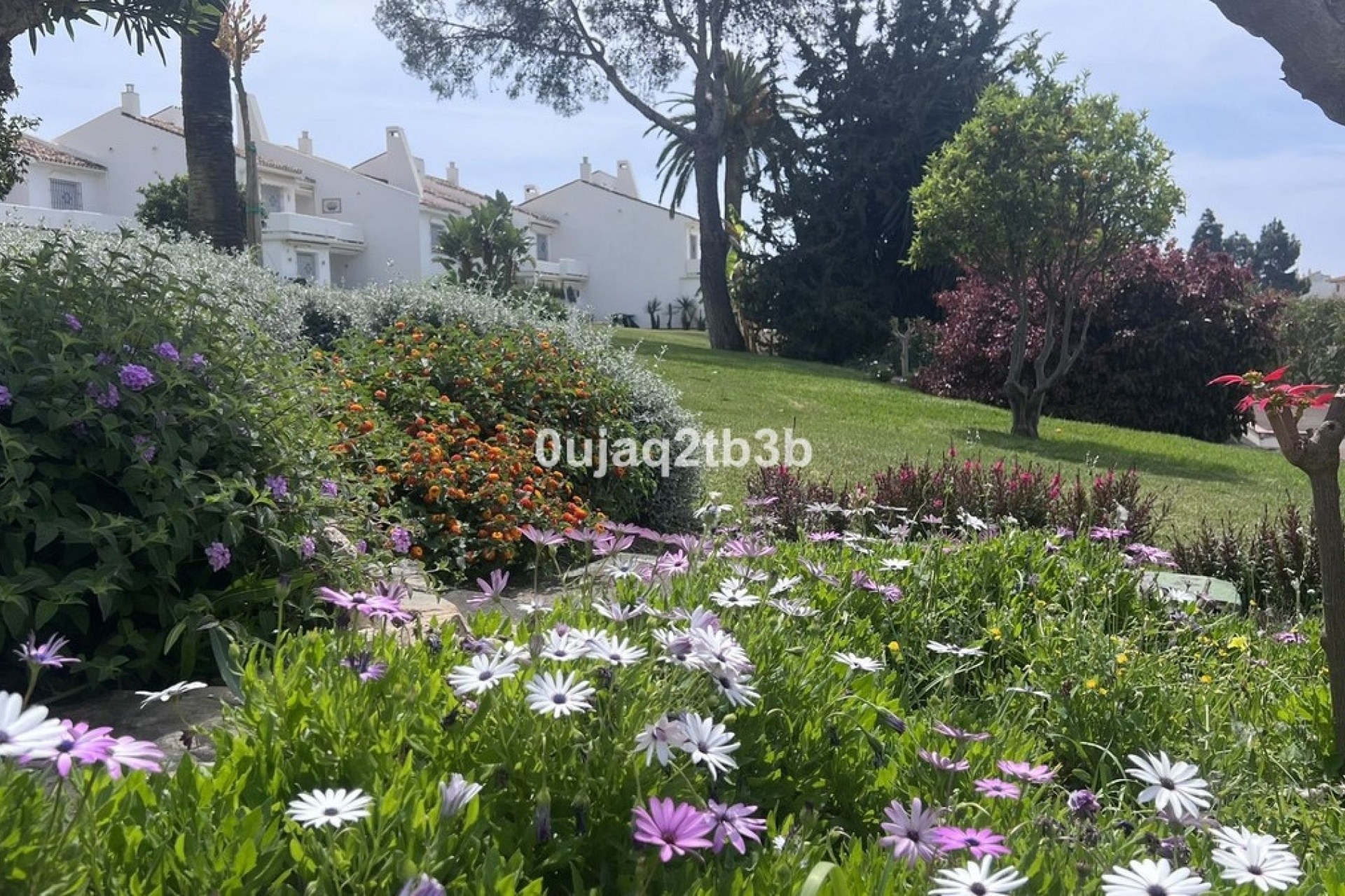 Rynek wtórny - apartment - Marbella - Nueva Andalucía