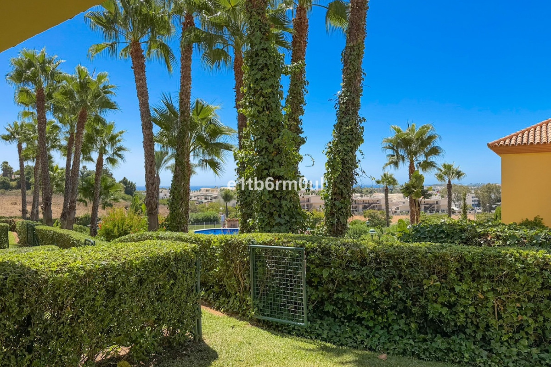 Rynek wtórny - apartment - Marbella - Nueva Andalucía
