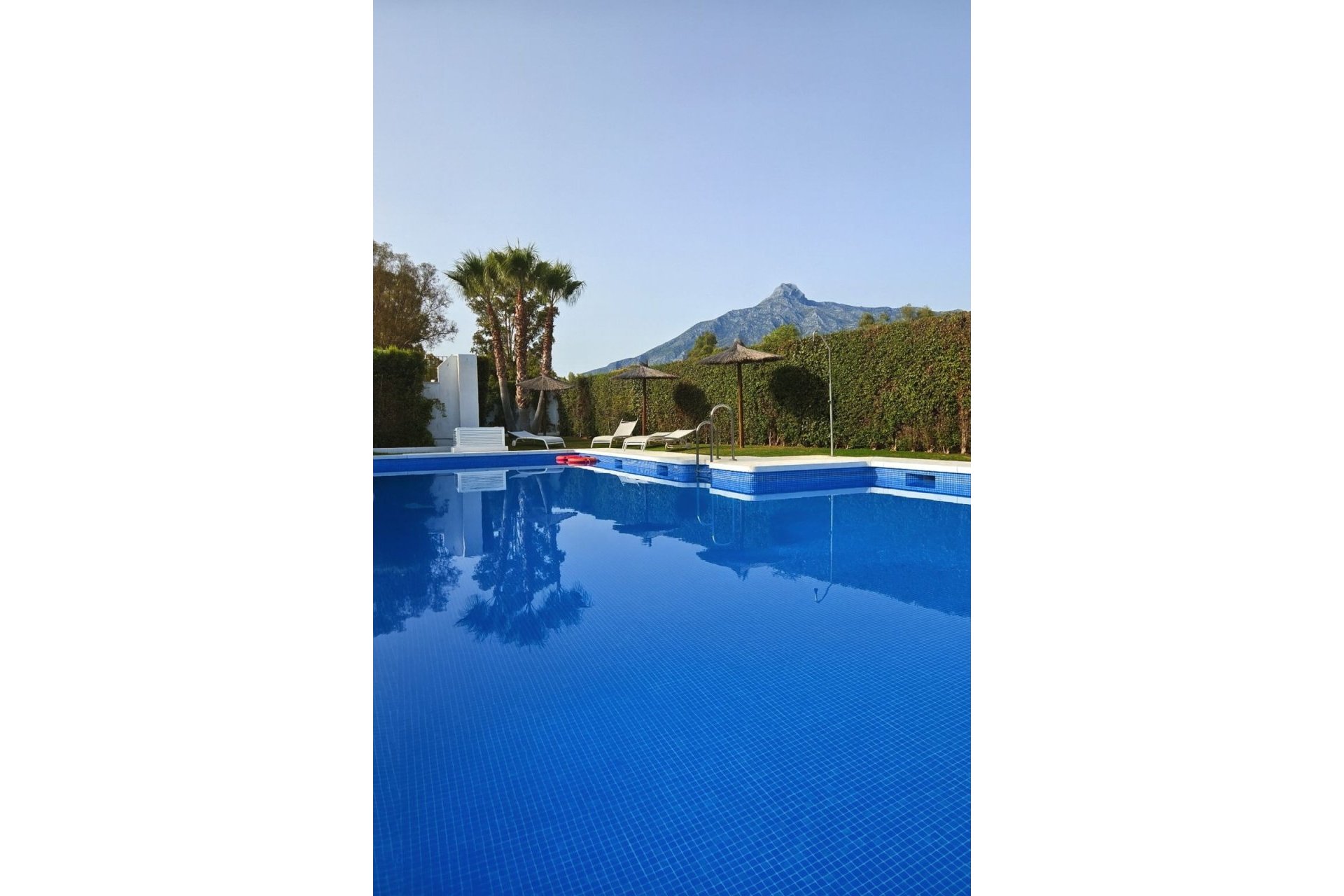 Rynek wtórny - apartment - Marbella - Nueva Andalucía