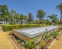 Rynek wtórny - apartment - Marbella - Nueva Andalucía