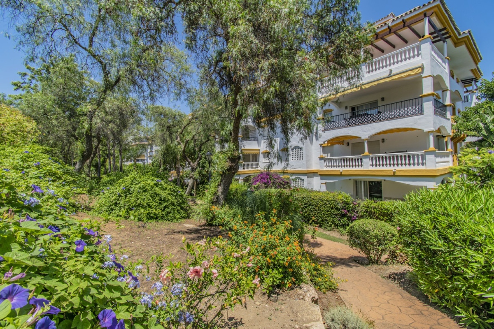 Rynek wtórny - apartment - Marbella - Nueva Andalucía