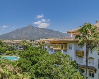 Rynek wtórny - apartment - Marbella - Nueva Andalucía
