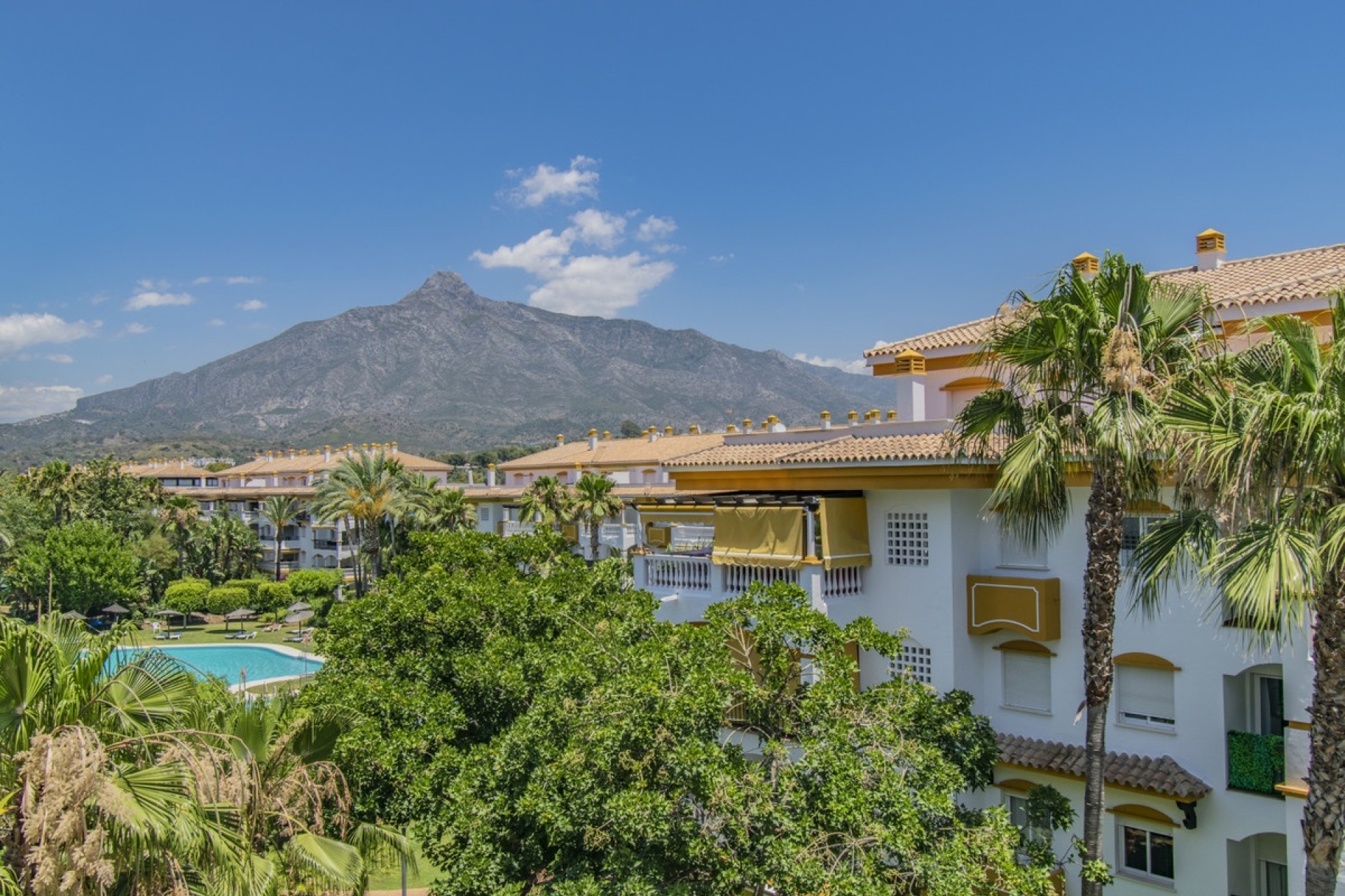 Rynek wtórny - apartment - Marbella - Nueva Andalucía