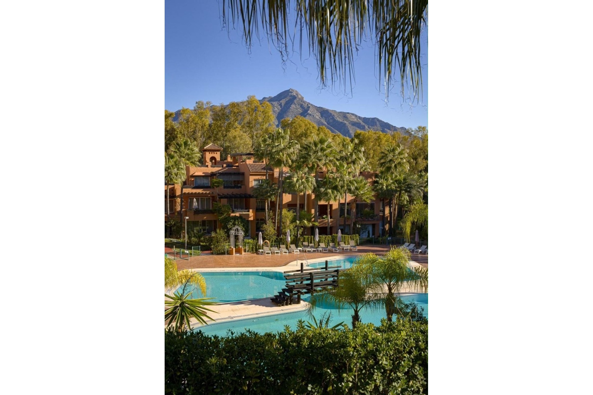 Rynek wtórny - apartment - Marbella - Nueva Andalucía