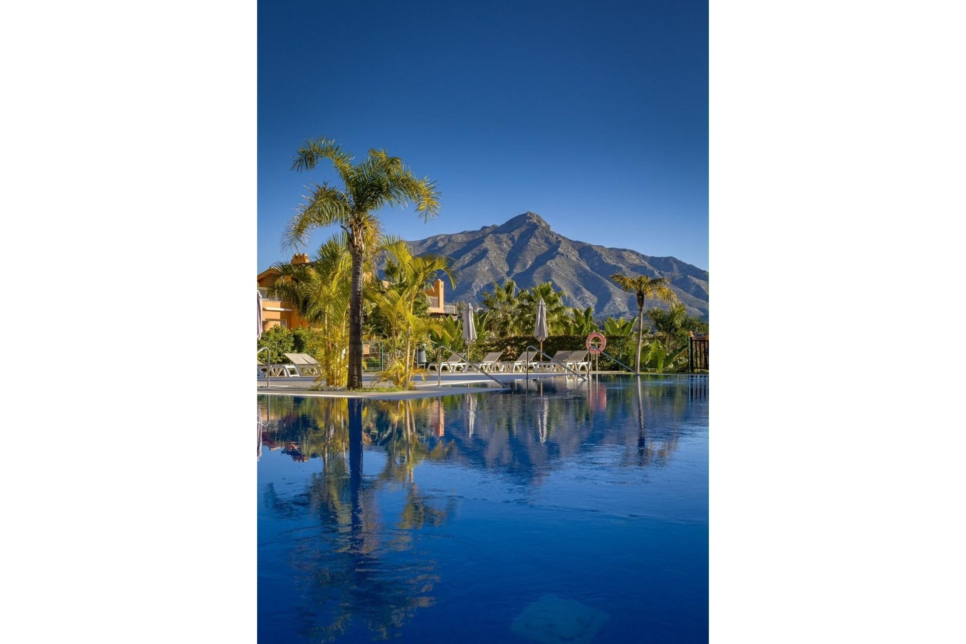 Rynek wtórny - apartment - Marbella - Nueva Andalucía
