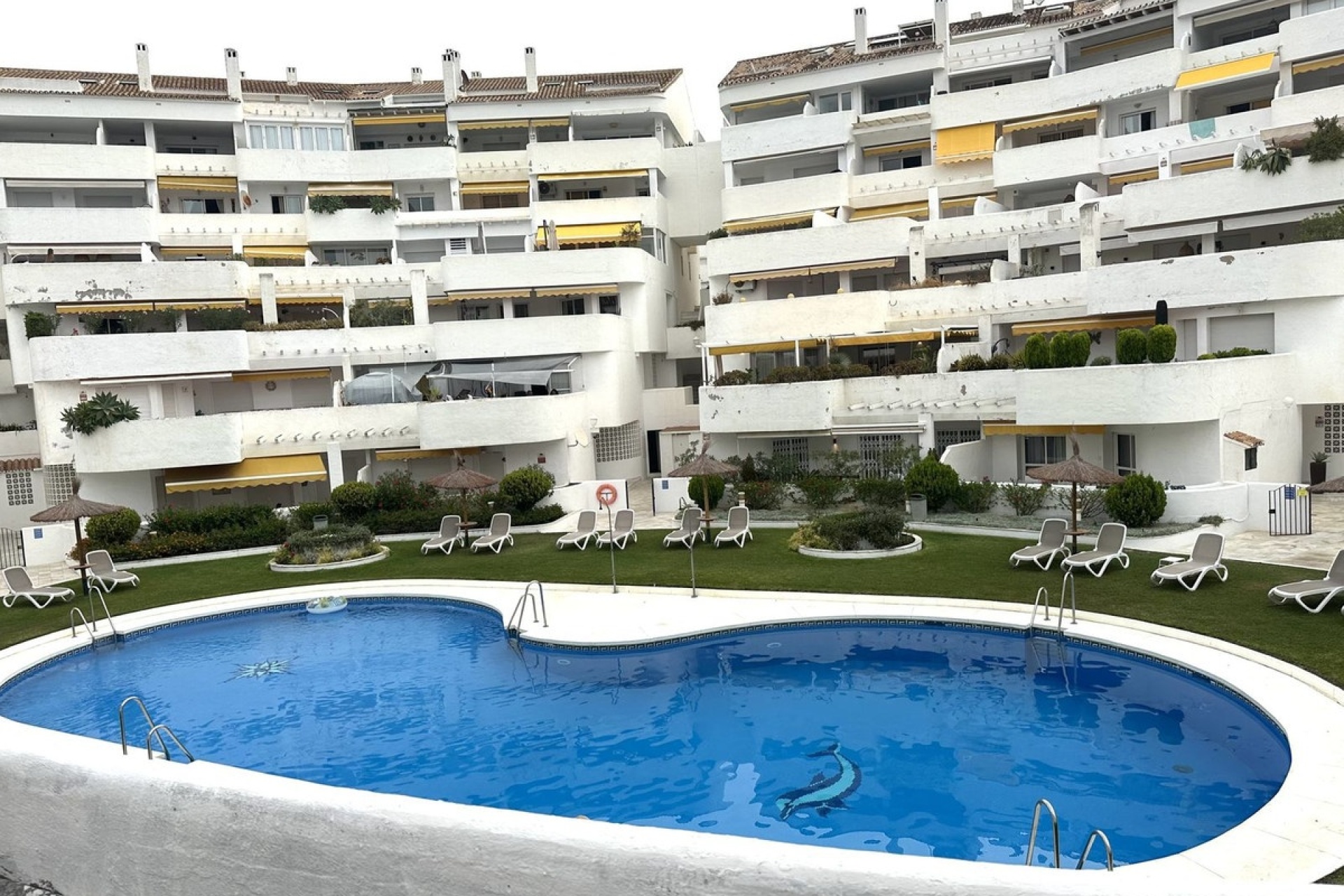 Rynek wtórny - apartment - Marbella - Nueva Andalucía