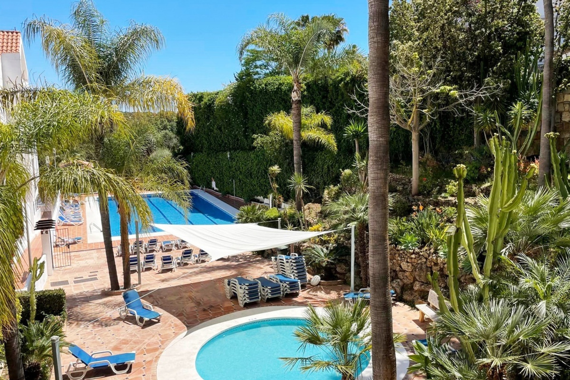 Rynek wtórny - apartment - Marbella - Nueva Andalucía