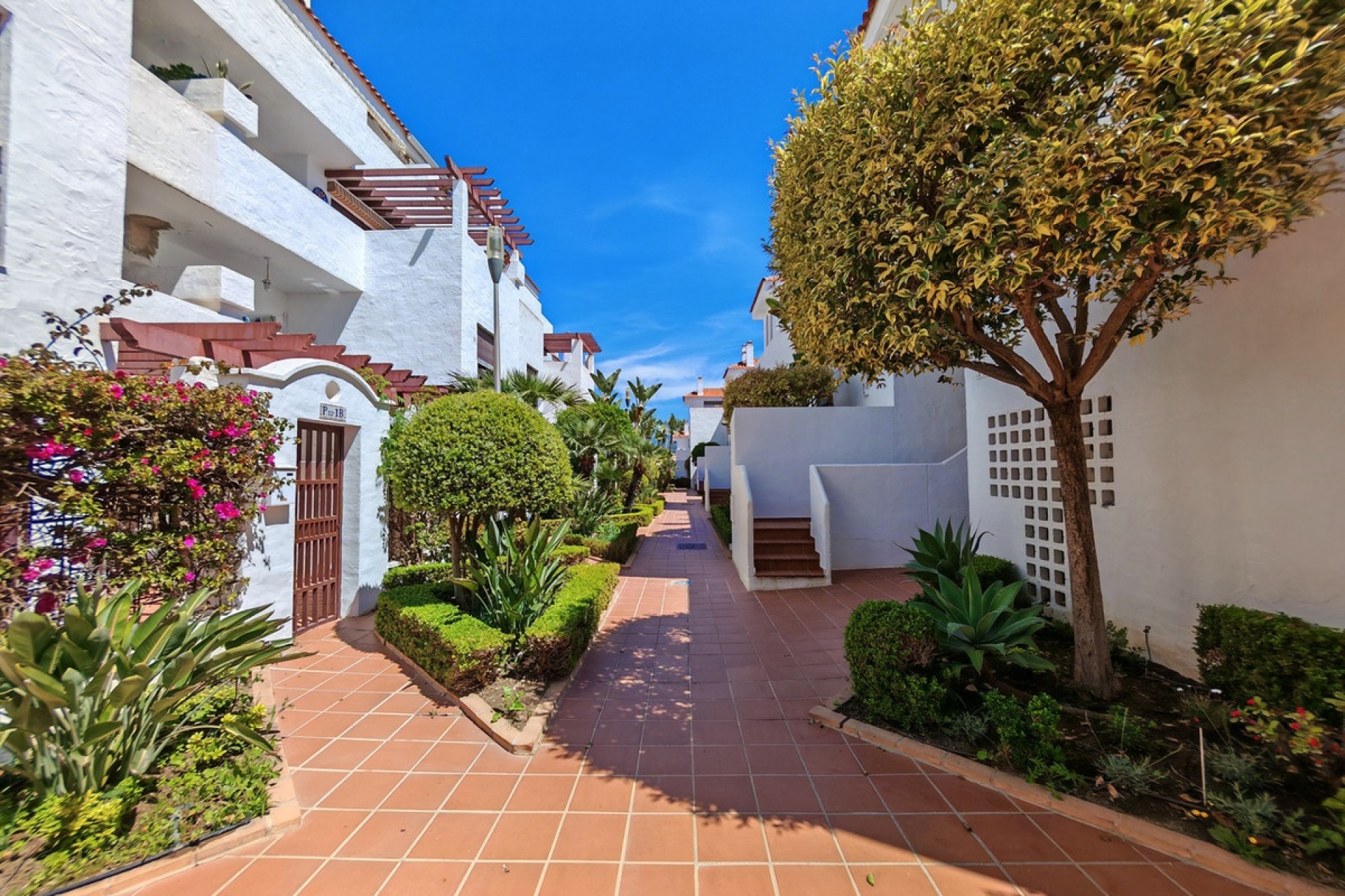 Rynek wtórny - apartment - Marbella - Nueva Andalucía